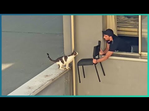 やさしーひと  動物を助けた人々