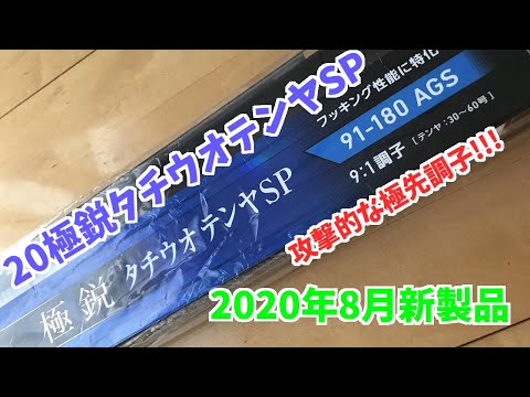 ダイワ 極鋭���チウオテンヤSP 91-180AGS レビュー　そして、錘ぶら下げ確認もやってみたよ