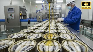 How Billions of Canned Sardines Are Processed - Amazing Automatic Sardine Production!