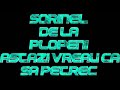 SORINEL DE LA PLOPENI   ASTAZI VREAU CA SA PETREC 2014