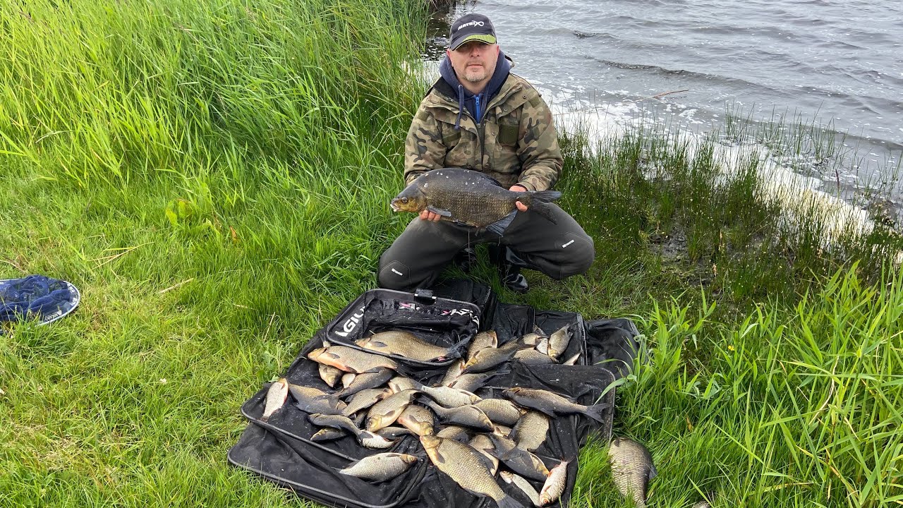 Feeder fishing for hybrids and skimmers / fishing in Ireland YouTube