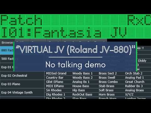 VirtualJV video preview