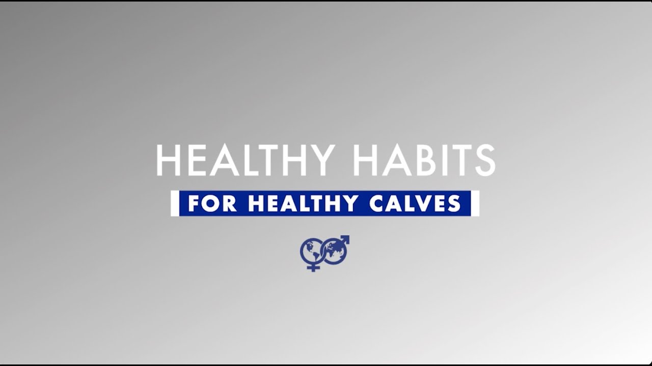 Healthy Habits for Healthy Calves