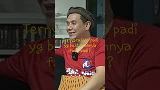 Ternyata Logo Padi Yg Buat Alm Bpknya Fadly Padi  shorts fadlypadi ceritanyata legend