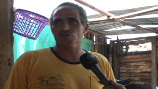 Fuerte Vendabal En El Barrio 26 De Julio Corregimiento El Llanito