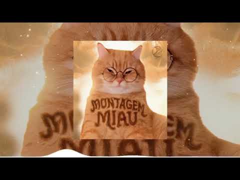 Oh my little kitty, meow meow - Poor little kitty