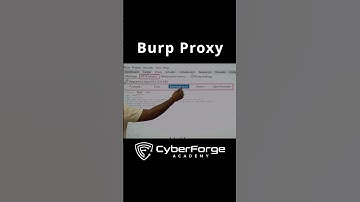 Getting Started with Burp Suite Proxy: Web Security Testing Tutorial