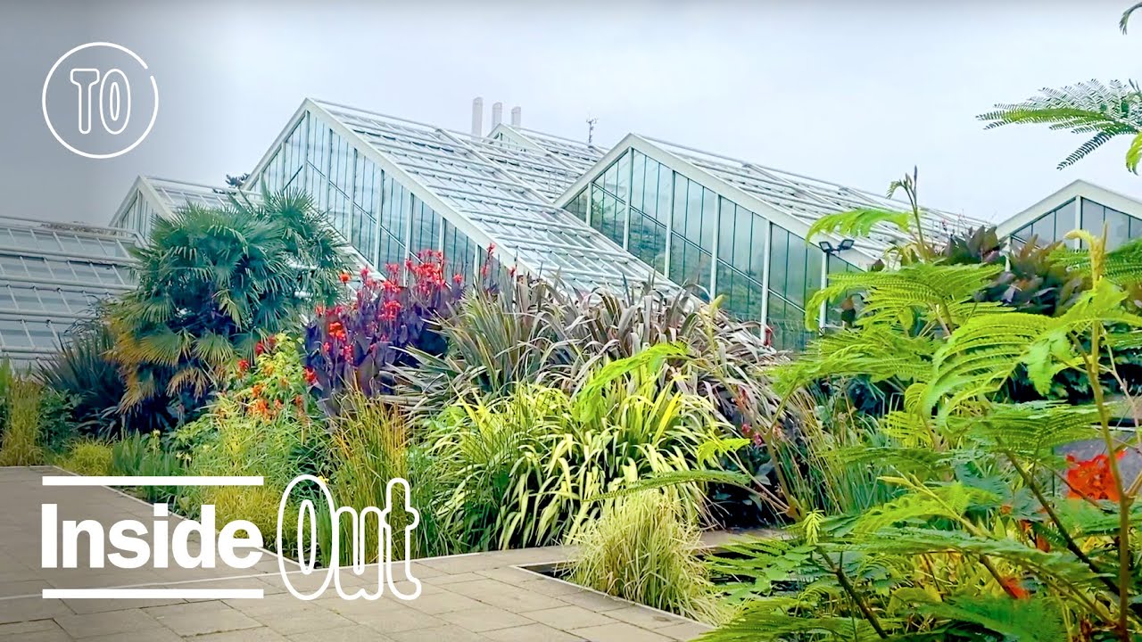Hidden gems at London's Kew Gardens | Inside Out