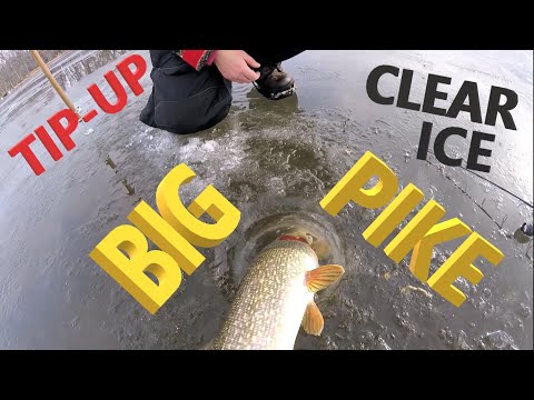 Ice Fishing - Pike 