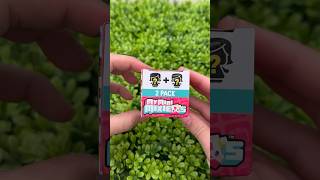 My Mini Mixieqs Asmr Unboxing
