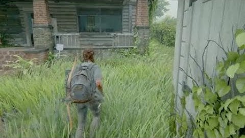 The Last of Us™ Part II_ Hillcrest expertplay grounded permadeath