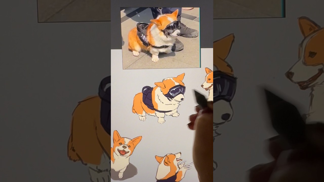 Fuzai the police corgi. He’s so cute! 