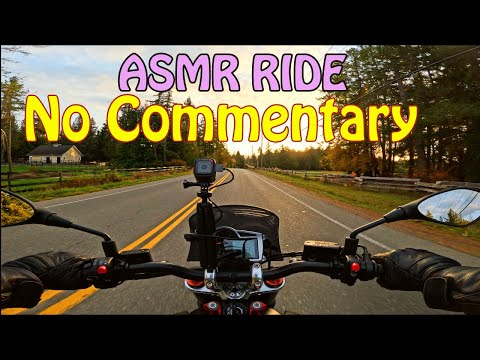 Motorcycle Ride on Vancouver Island Helmet-POV | NO COMMENTARY | No Music | No Editing | Moto Guzzi