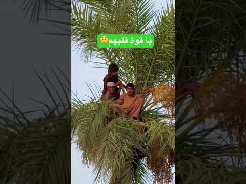 رجلي عرقت ونا مش معهم 