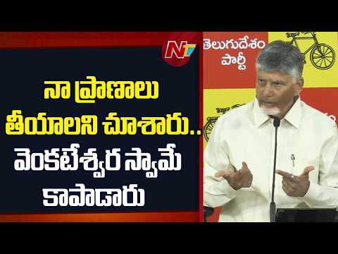 CM Chandrababu on Rayalaseema Faction Politics : నాడు ప్రాణాల మీదకు తెచ్చుకున్నా | NTV Telugu