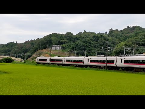 E657系ひたち5号いわき行きK19編成古坊踏切走行シーン