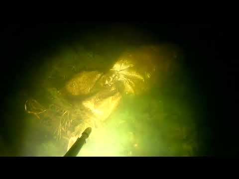 подводная охота в