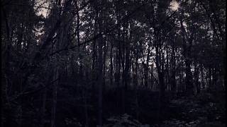 Mystery Surrounding the Minerva Monster aka Bigfoot