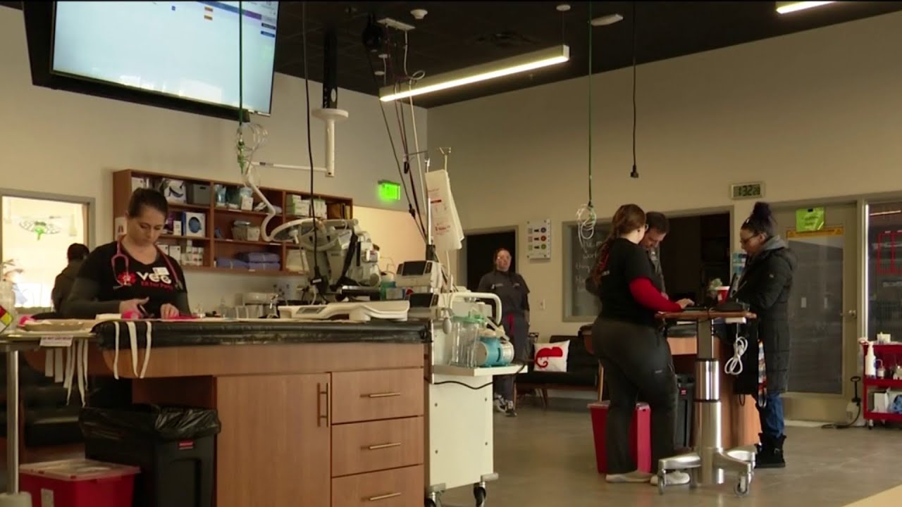 VEG ER For Pets- Ann Arbor on LITD