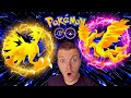SHINY GALARIAN BIRD HUNT ZAMAZENTA RAIDS Pokémon GO Live SHINY GALARIAN BIRD HUNT ZAMAZENTA RAIDS Pokémon GO Live