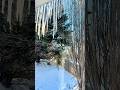 View from my winter window rooted Mondays