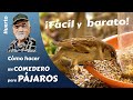 CÓMO HACER UN COMEDERO PARA PÁJAROS BARATO Y EFECTIVO