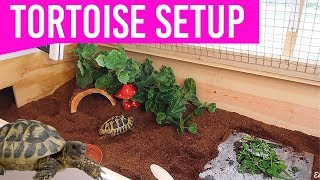 NEW Setting Up My Tortoise Enclosure | DIY Tortoise Table House