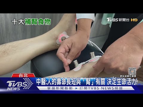 人體「這器官」是先天之本...掌管生長發育.泌尿生殖...少了它...下場慘｜十點不一樣20230602 @TVBSNEWS01