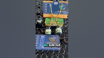 Cà gai leo và cơ chế hỗ trợ hạ men gan, giải độc gan theo nghiên cứu khoa học. bảo vệ tế bào gan