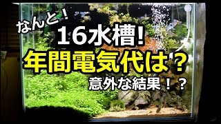 16水槽 年間電気代はなんと アクアリウムとトカゲと植物 Youtube