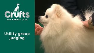 Group Judging (Utility) and Presentation | Crufts 2023