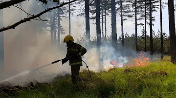 Huge forest fire in Wareham declared a major incident