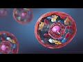 Viral Budding of the SARS-CoV-2 virus - NanoBiology Course 2020 - Tuesday Group