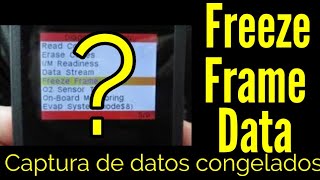 WHAT IS FREEZE FRAME DATA? Capture frozen data.