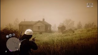 Rdr2 How to use PIB screenshot 1