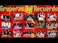 LOS TEMERARIOS, VIENTO Y SOL, LOS MIER, BRYNDIS, LOS ACOSTA, LOS BUKIS,...GRUPERAS INMORTALES