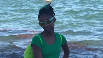 Save The Turtles (MUSIC VIDEO)