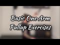Beginner One Arm Pullup Workout - Calisthenics