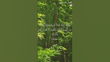 #قرآن #سورة_طه #احمد_النفيس