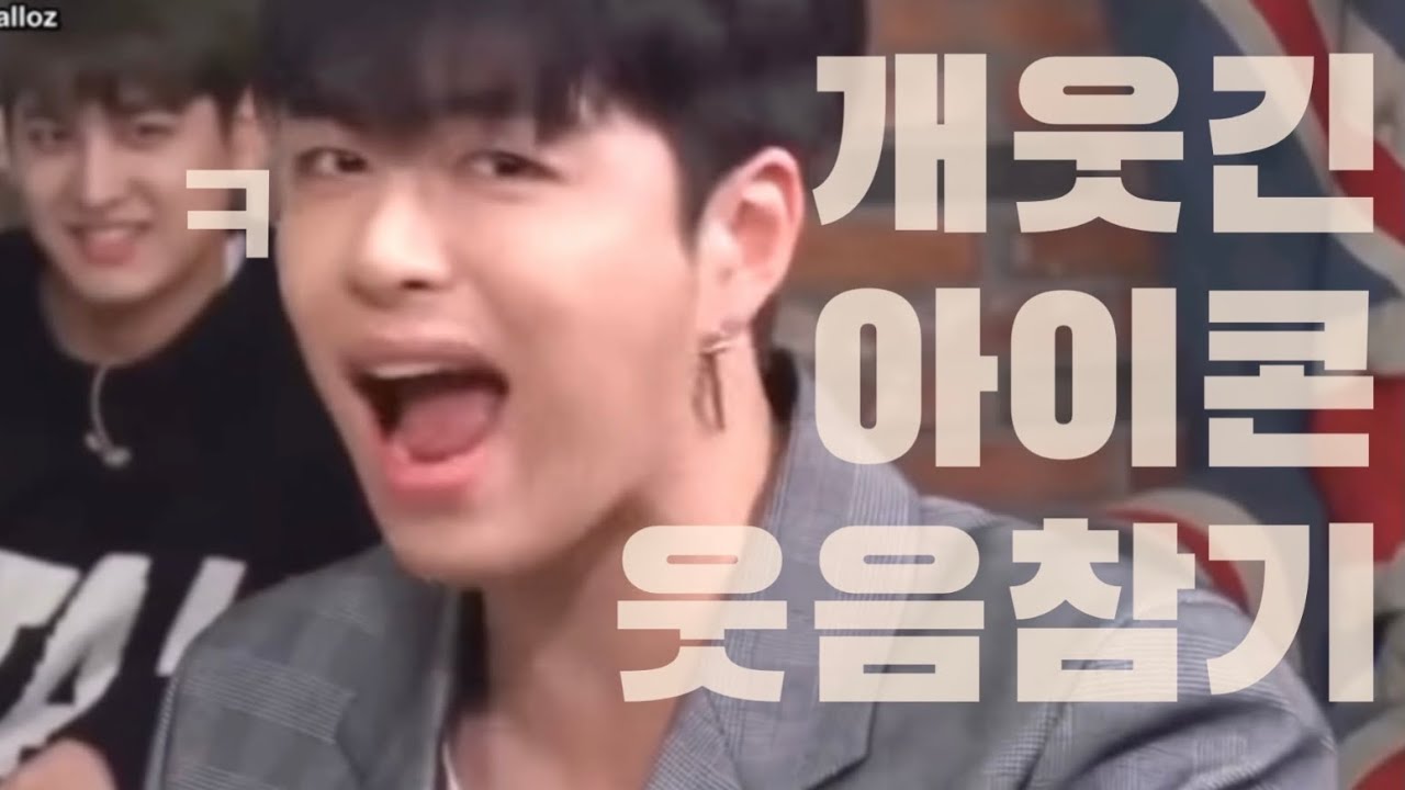 [iKON/아이콘] 아이콘이 누구야? 개웃긴 사람들이지~