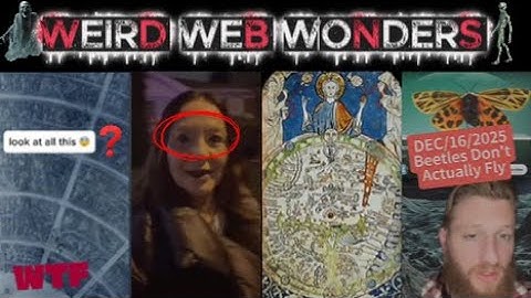 weird web wonders vol 81