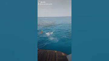 عايم في بحر الغدر 
