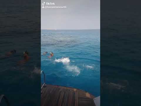 عايم في بحر الغدر