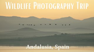 Wildlife Photography Trip to Andalusia, Spain | November 2023 by Espen Helland 3,138 views 8 months ago 1 minute, 27 seconds
