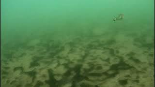 GLDS20250914 183734836 00 00 59 327 00 04 04 289