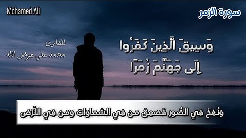 وسيق الذين كفروا إلى جهنم زمرا ( من سورة الزمر ). للقارئ محمد علي عوض الله 🎤🎧
