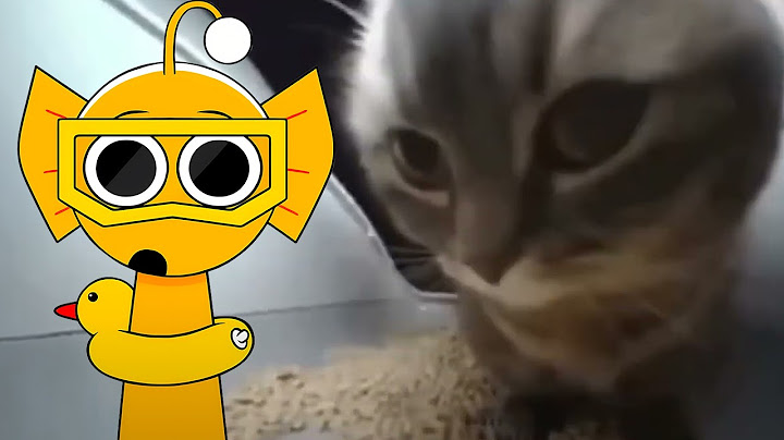 Incredibox Sprunki OC – Chipi Chipi Chapa Chapa (COVER)