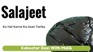 Salajeet Ko Hal Karne Ka Asan Tarika | Salajeet Ko Kaise Hal Karain By Kabootar Bazi With Malik
