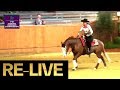 RE-LIVE | Senior Team Competition | FEI Reining European Championship 2019 | Givrins (SUI)