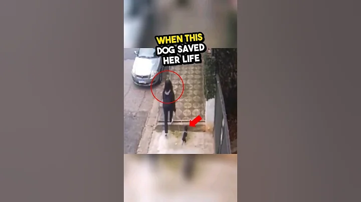 This dog saves this kid's life! 🥺❤️😱